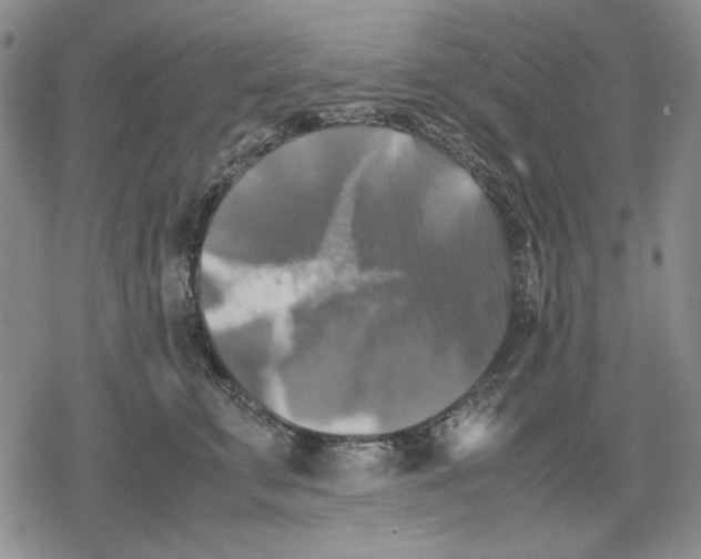 X0000079320711200612151817