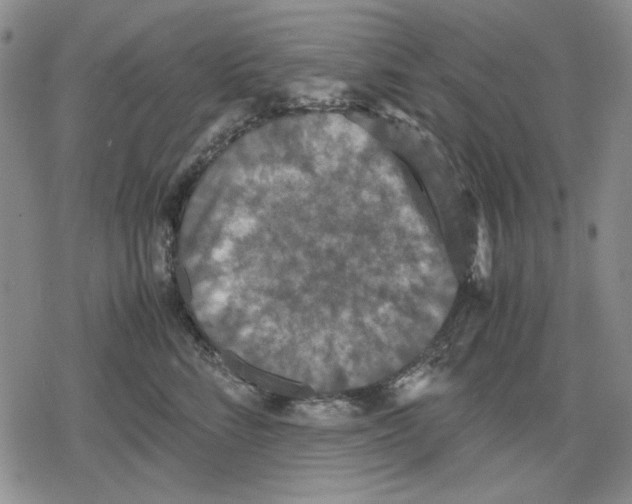 X0000079320712200612151817