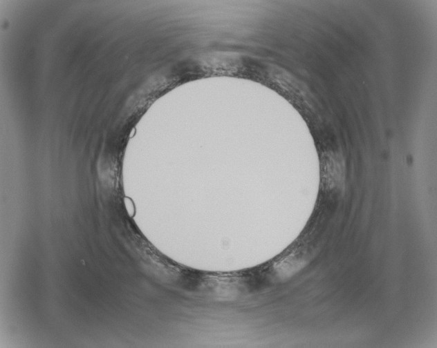 X0000079320713200612151817