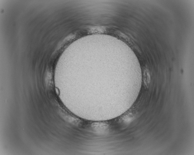 X0000079320714200612151817