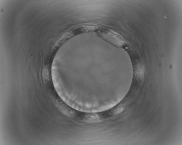 X0000079320715200612151817