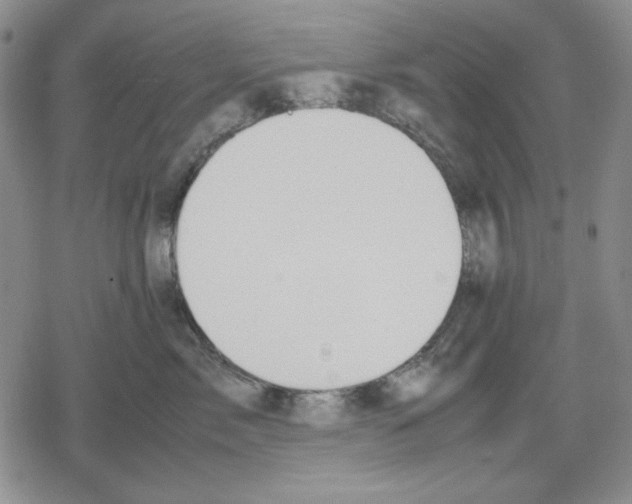 X0000079320717200612151817