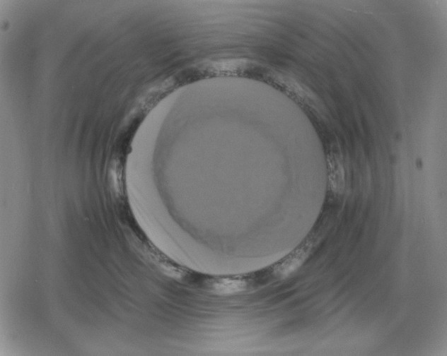 X0000079320718200612151817