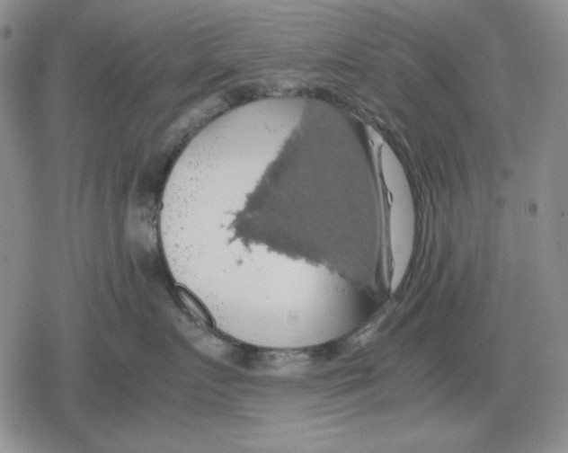 X0000079320719200612151817