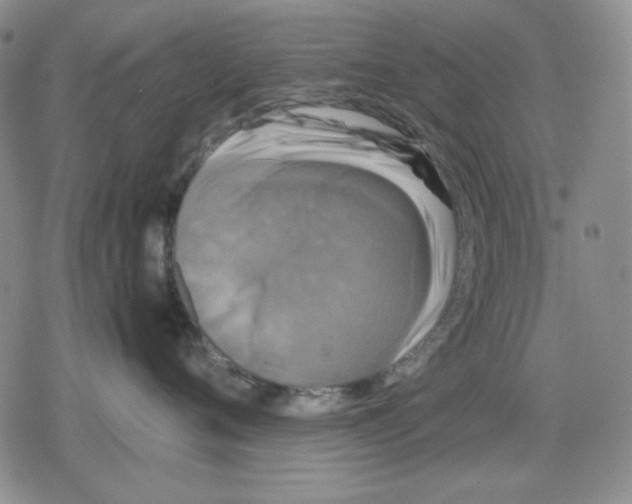 X0000079320720200612151817