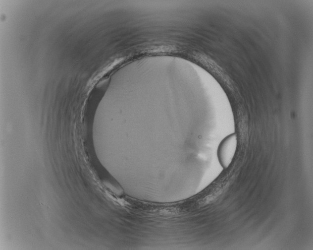 X0000079320721200612151816