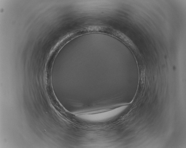 X0000079320722200612151816