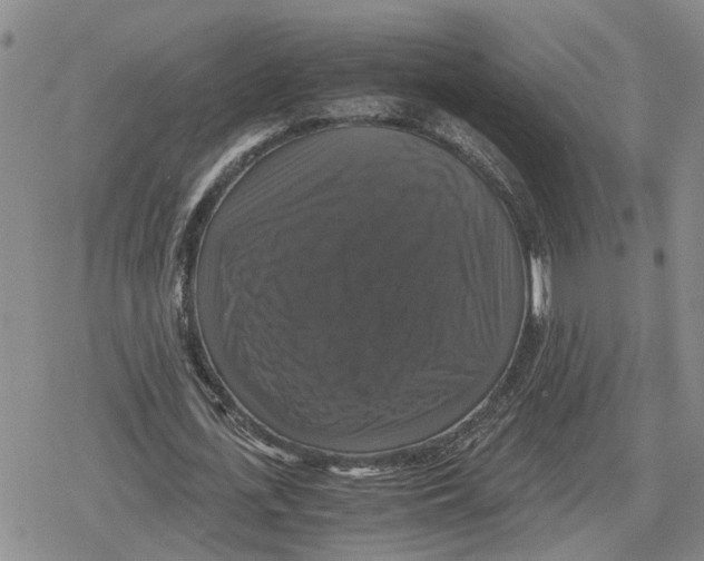 X0000079320723200612151816