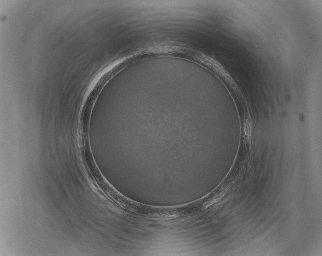 X0000079320724200612151816