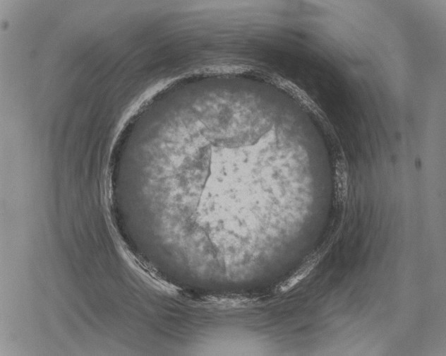 X0000079320726200612151816