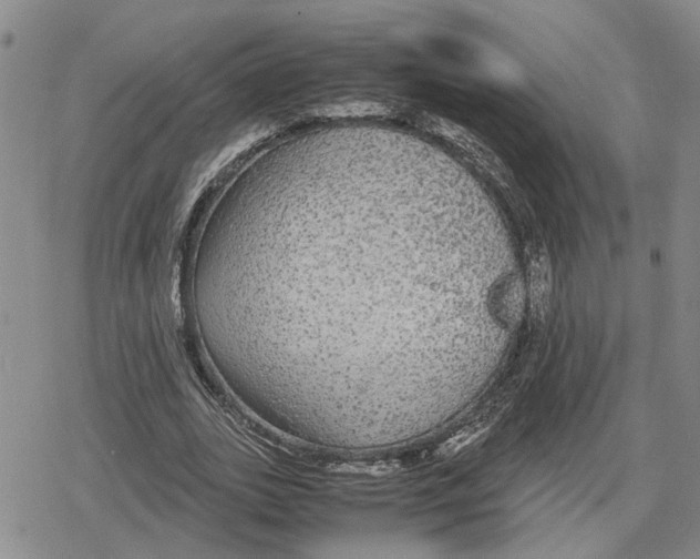 X0000079320727200612151816