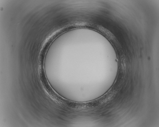 X0000079320728200612151816