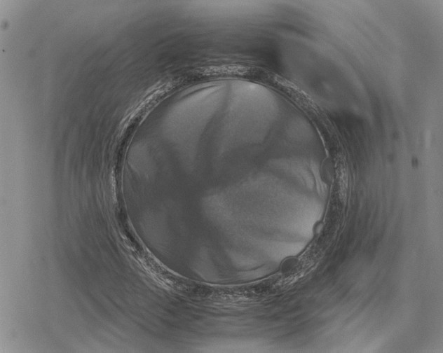 X0000079320729200612151816