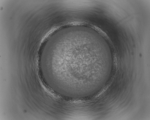 X0000079320730200612151816