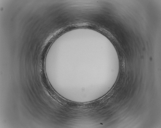 X0000079320732200612151816