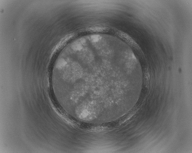 X0000079320734200612151816