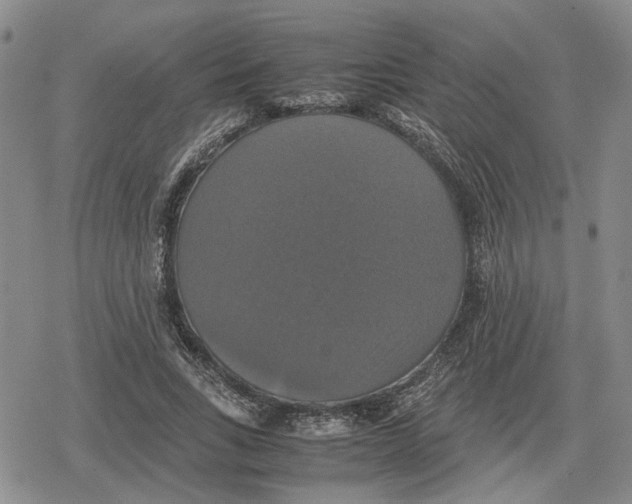 X0000079320735200612151816