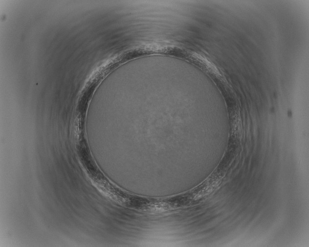 X0000079320736200612151817