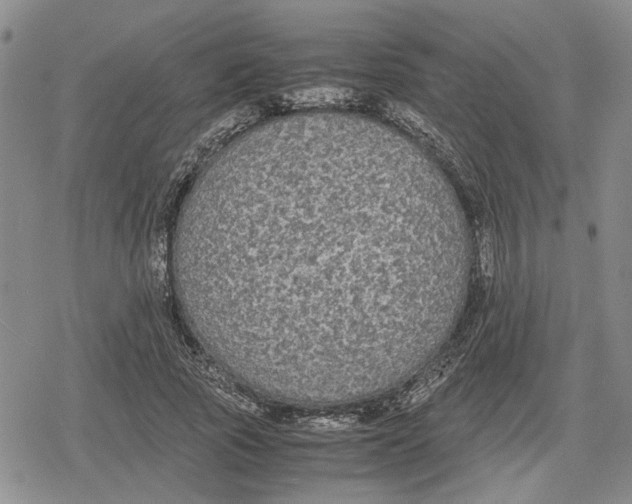 X0000079320737200612151817