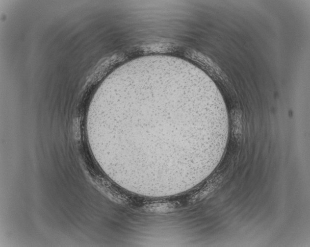 X0000079320738200612151817