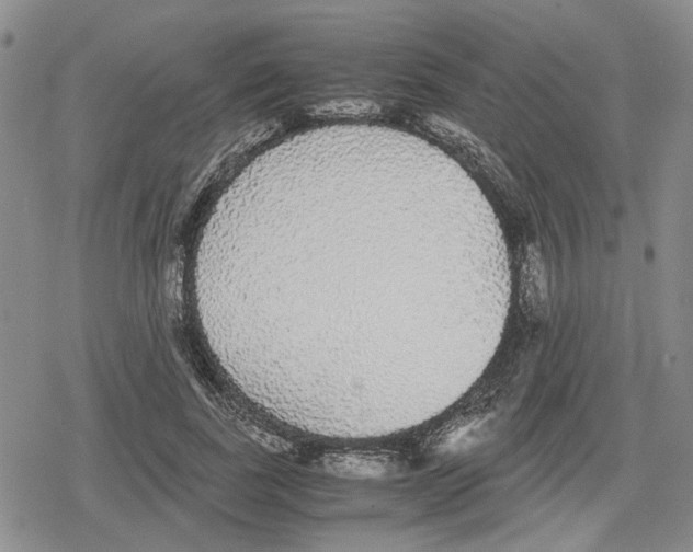 X0000079320739200612151817