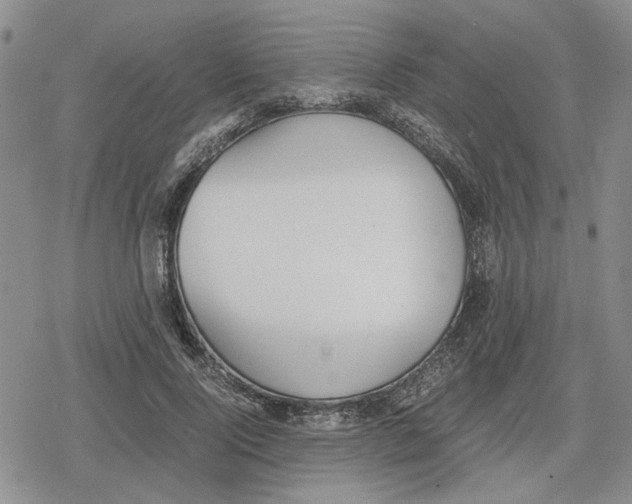 X0000079320740200612151817