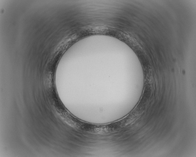 X0000079320744200612151817