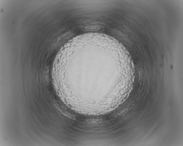 X0000079320745200612151817