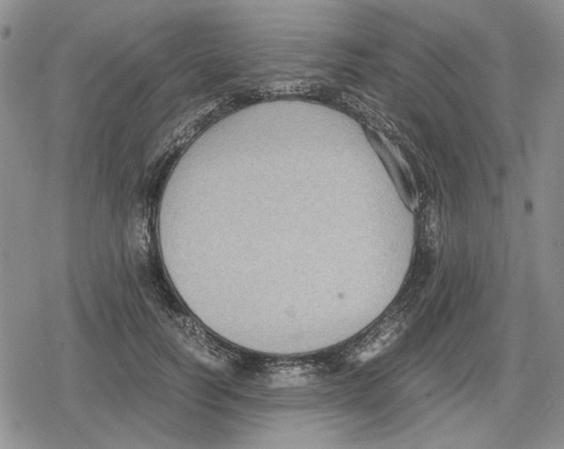 X0000079320746200612151817