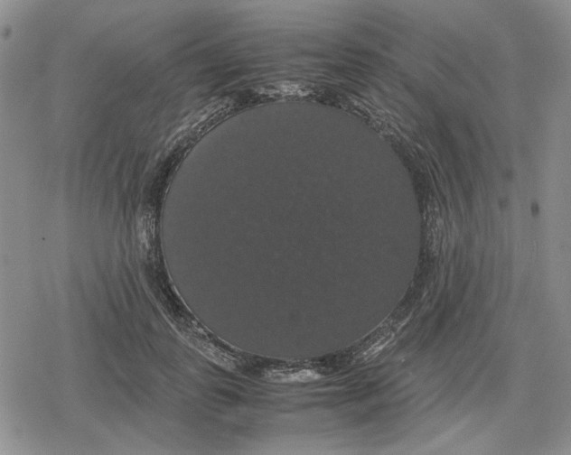 X0000079320747200612151817