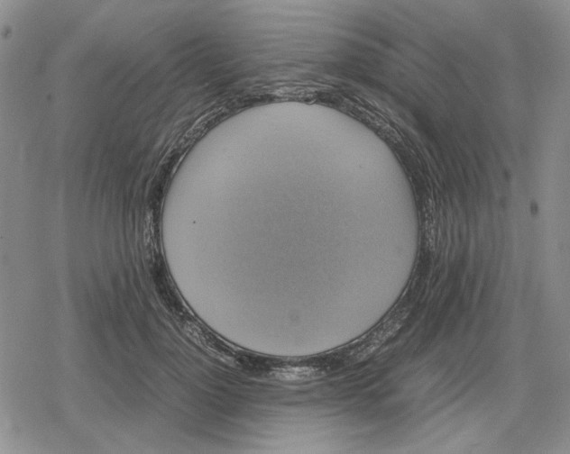 X0000079320748200612151817