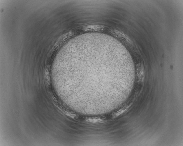 X0000079320749200612151817