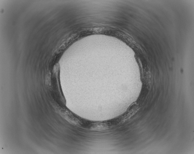 X0000079320750200612151817