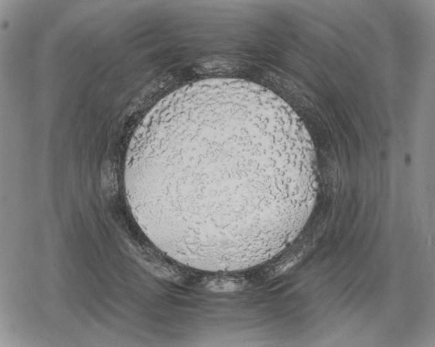 X0000079320751200612151817