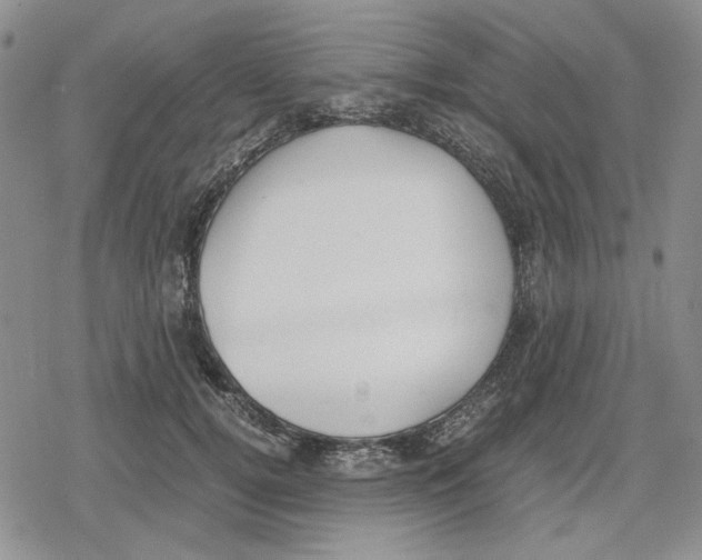 X0000079320752200612151817