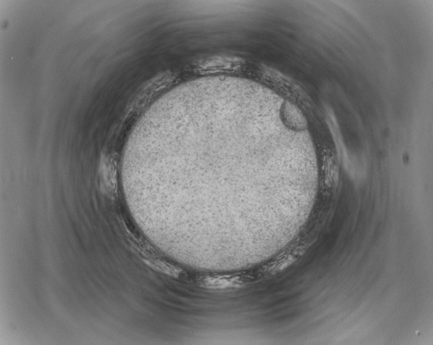 X0000079320753200612151817