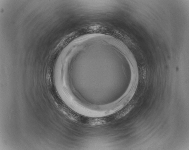 X0000079320754200612151817