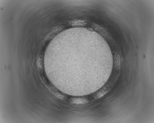 X0000079320755200612151817