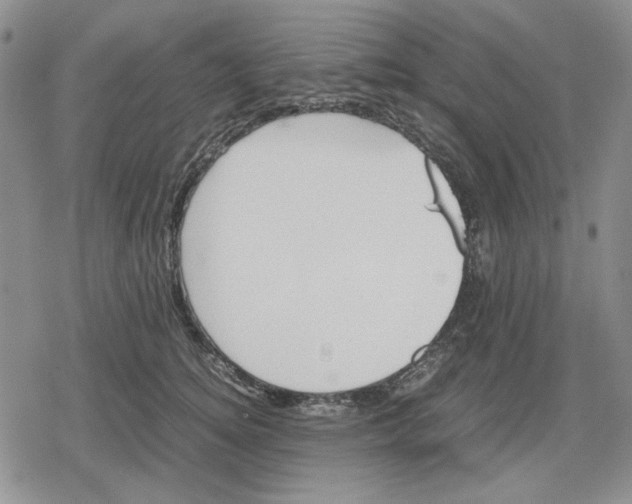 X0000079320756200612151817