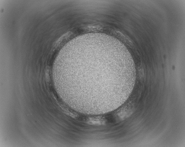 X0000079320757200612151817