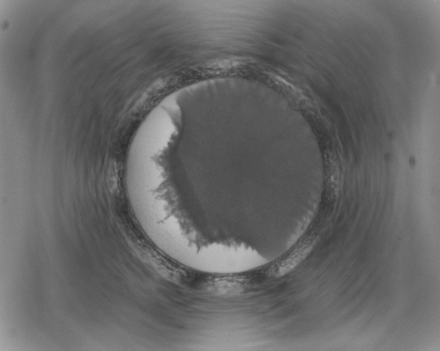 X0000079320758200612151817