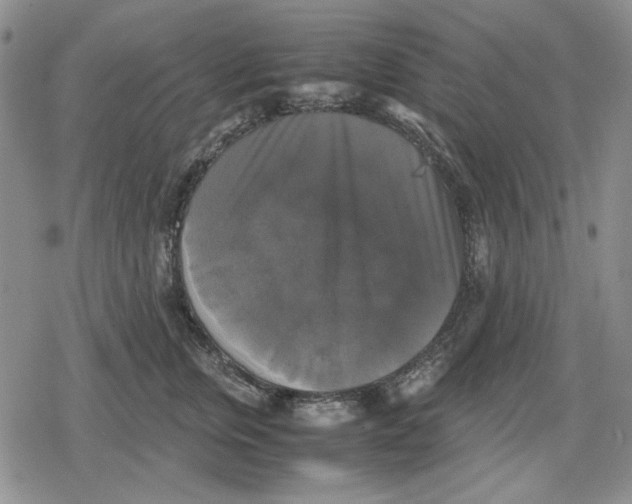 X0000079320759200612151817