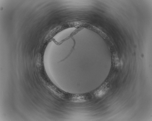 X0000079320760200612151817