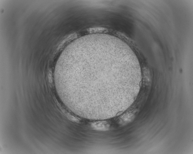 X0000079320761200612151817