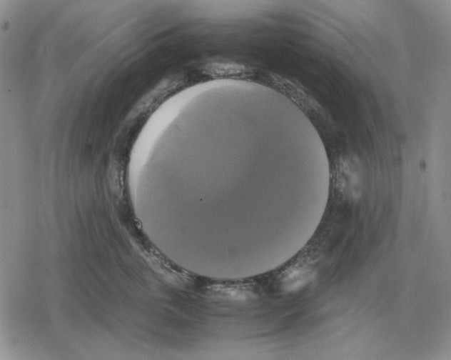 X0000079320763200612151817