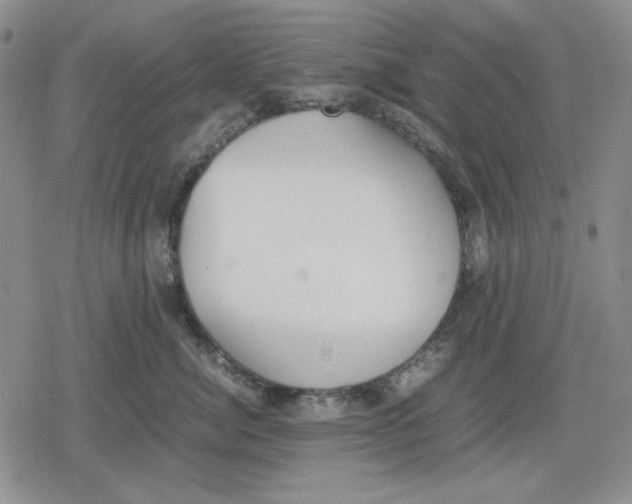 X0000079320764200612151817