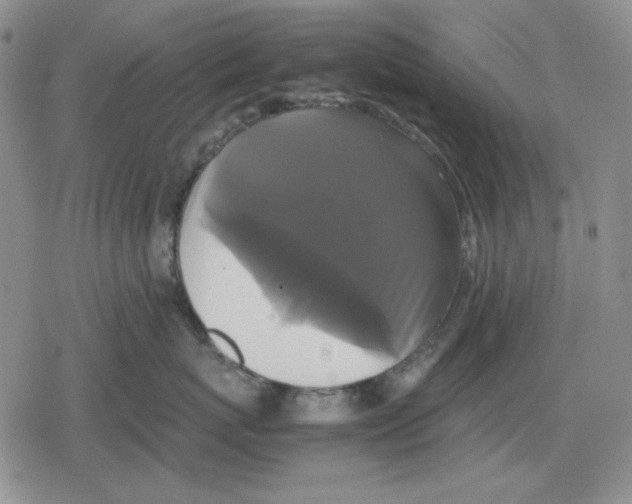 X0000079320767200612151817