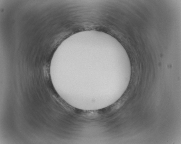 X0000079320768200612151817