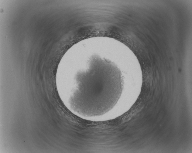 X0000079320769200612151816