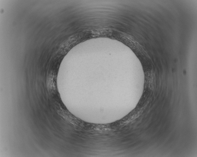 X0000079320770200612151816